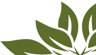 leaf detail image